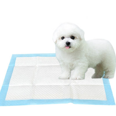 Tấm lót huấn luyện chó con dùng một lần không thấm nước 60 * 90cm Bề mặt khô